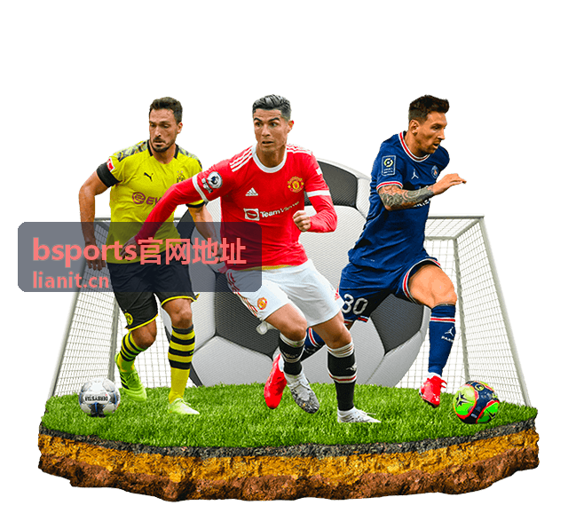 bsports官网地址 官方入口大全