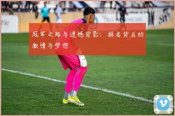 冠军之路与遗憾背影:排名背后的激情与梦想